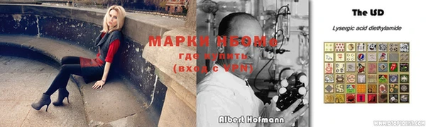 мдпв Богородицк