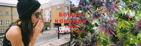 мдпв Богородицк