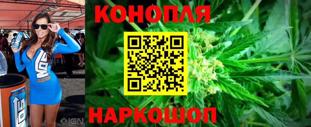 Марихуана ГИДРОПОН  Бошки марихуана MAZAR  Балашиха  Вход с VPN  Каннабис конопля  Канабис White Widow 